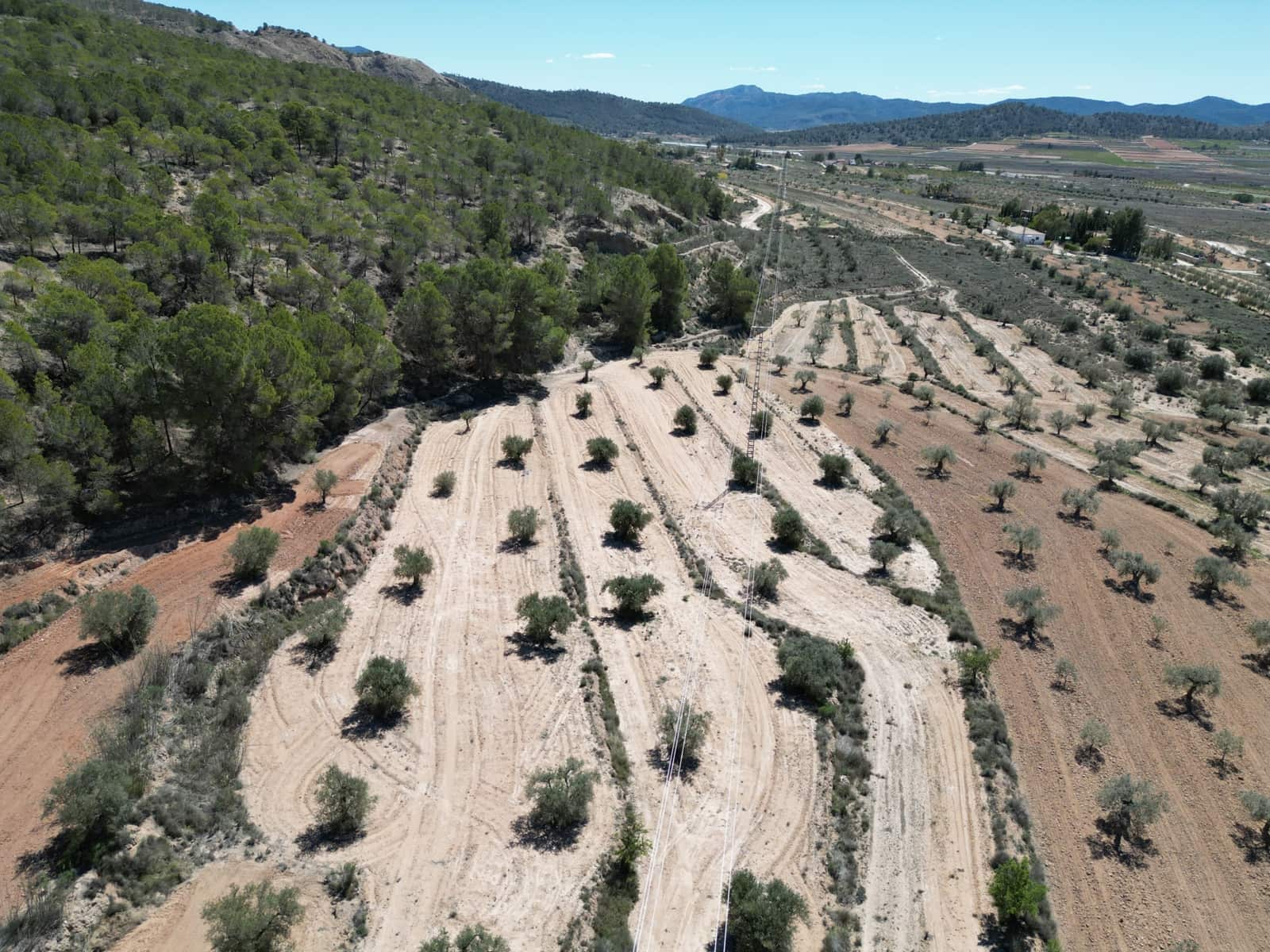 Solar/Parcela en Pinoso en venta - 45.000 € (Ref: 10012454)