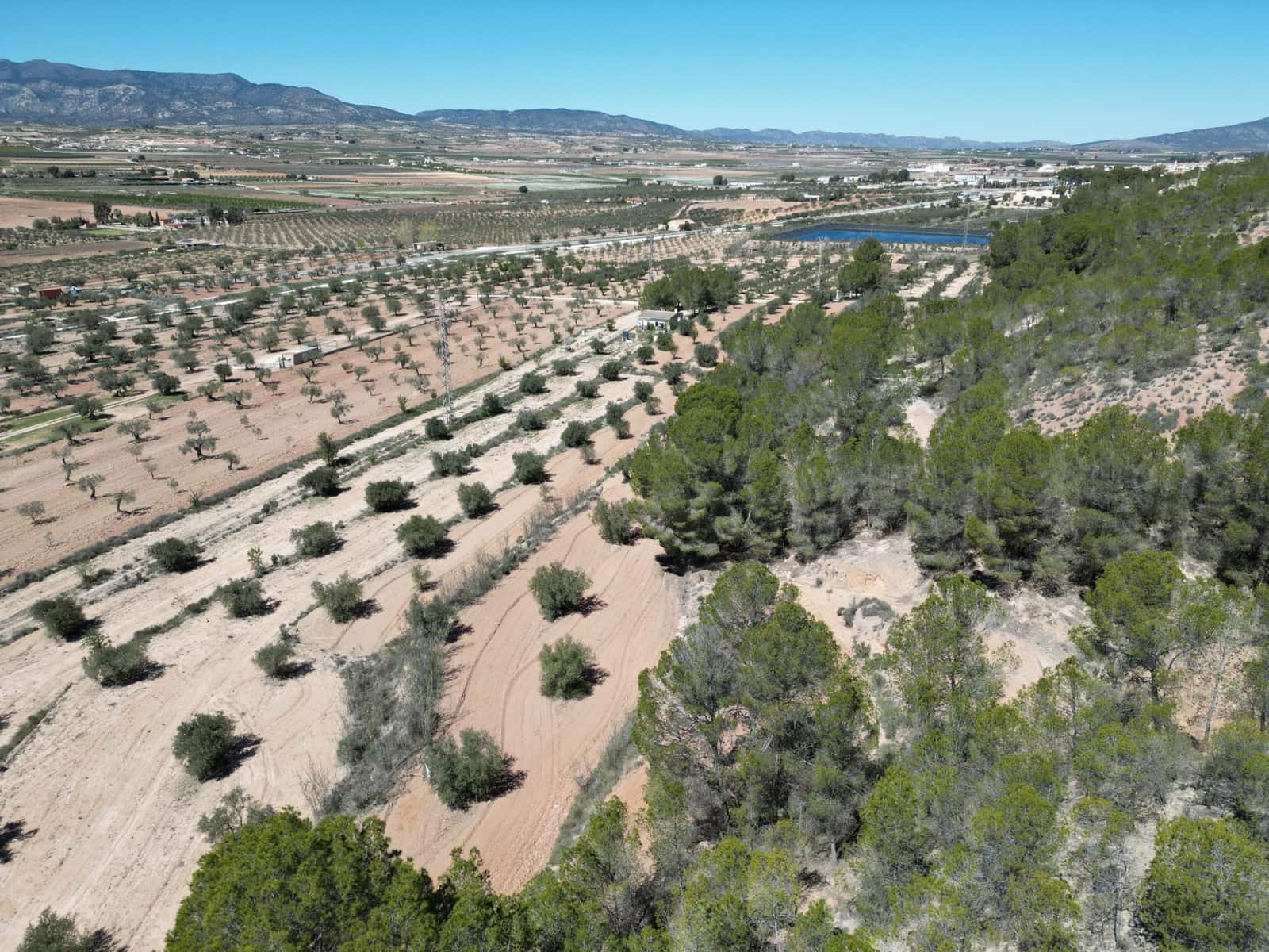 Solar/Parcela en Pinoso en venta - 45.000 € (Ref: 10012454)