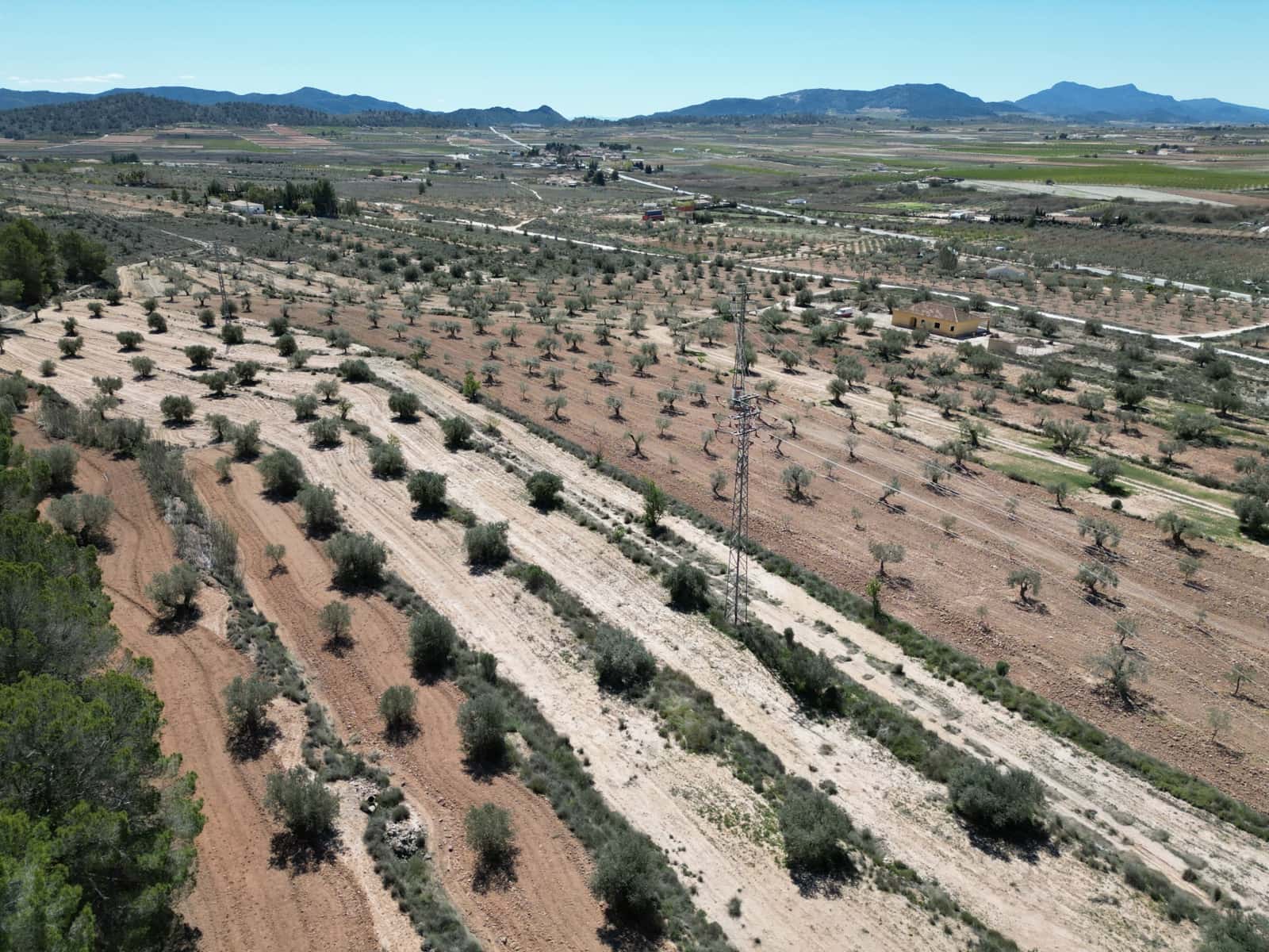 Solar/Parcela en Pinoso en venta - 45.000 € (Ref: 10012454)