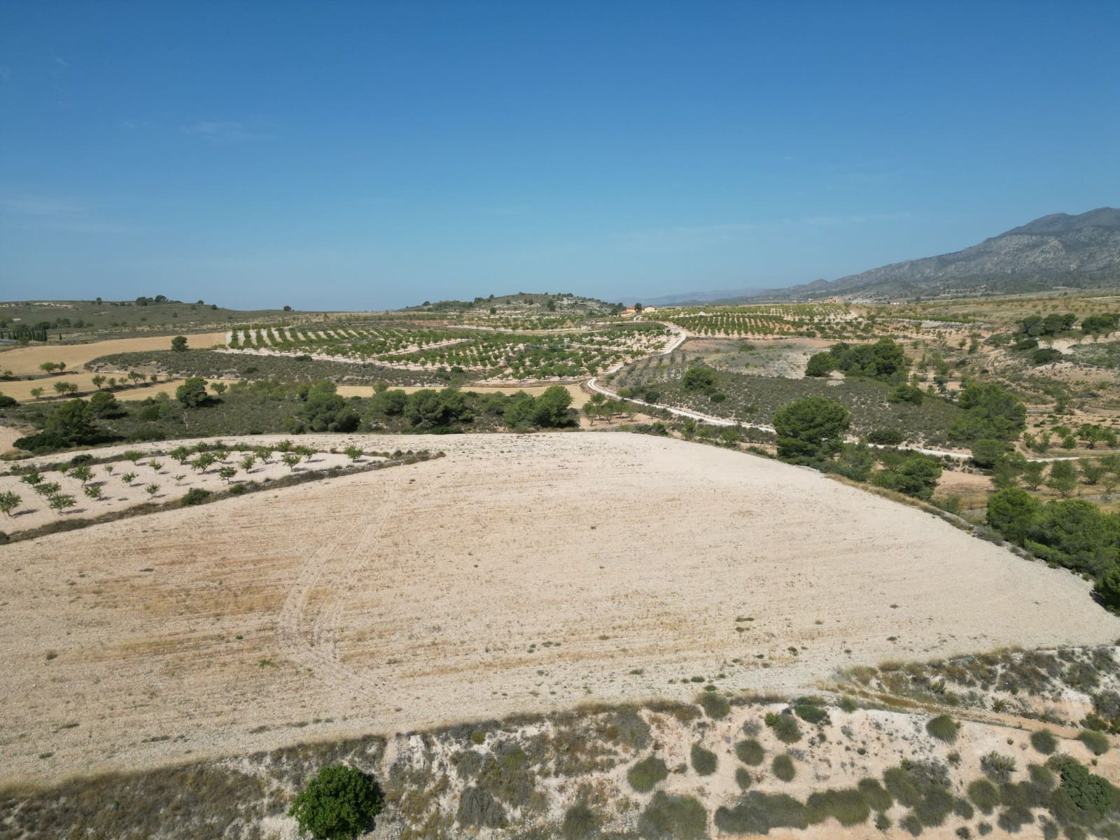 Solar/Parcela en Pinoso en venta - 76.000 € (Ref: 10021432)