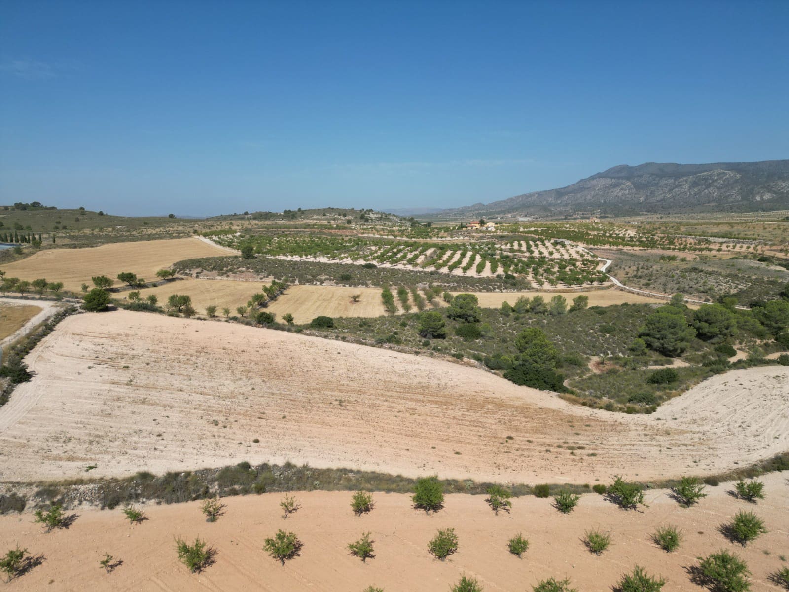 Solar/Parcela en Pinoso en venta - 76.000 € (Ref: 10021432)