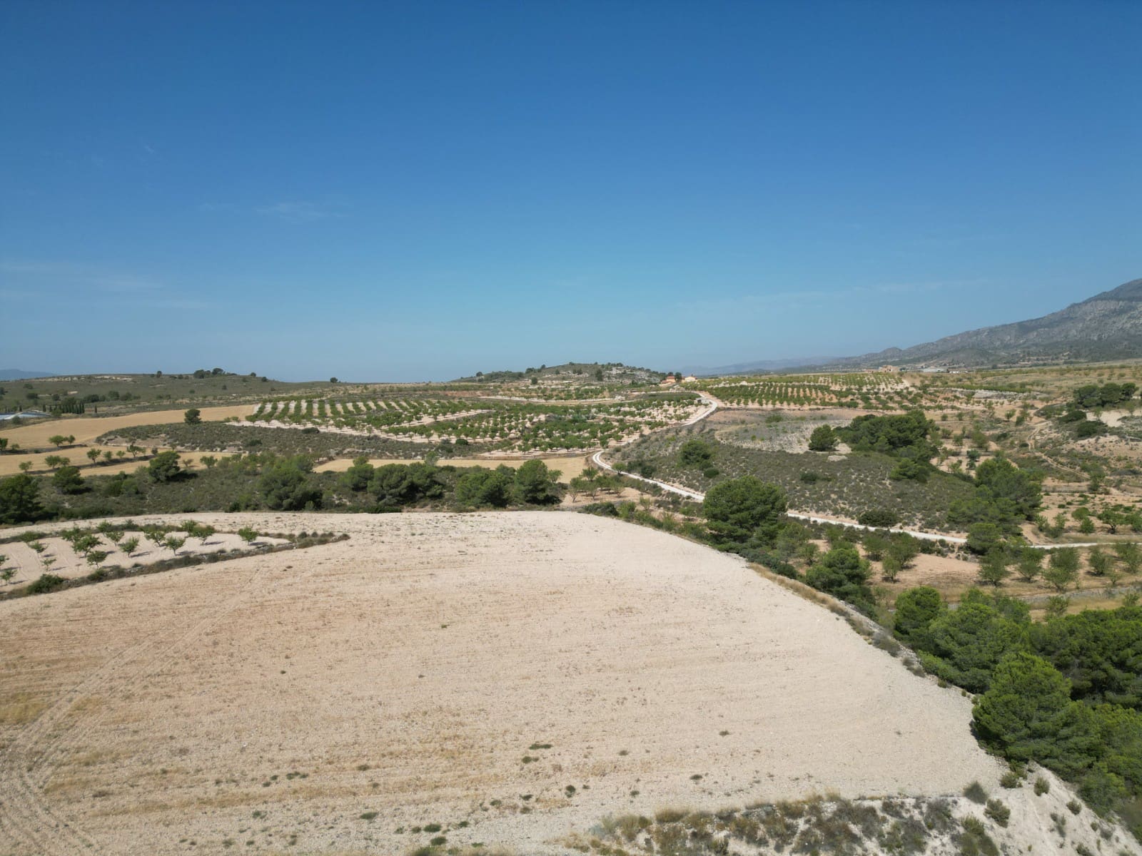 Solar/Parcela en Pinoso en venta - 76.000 € (Ref: 10021432)