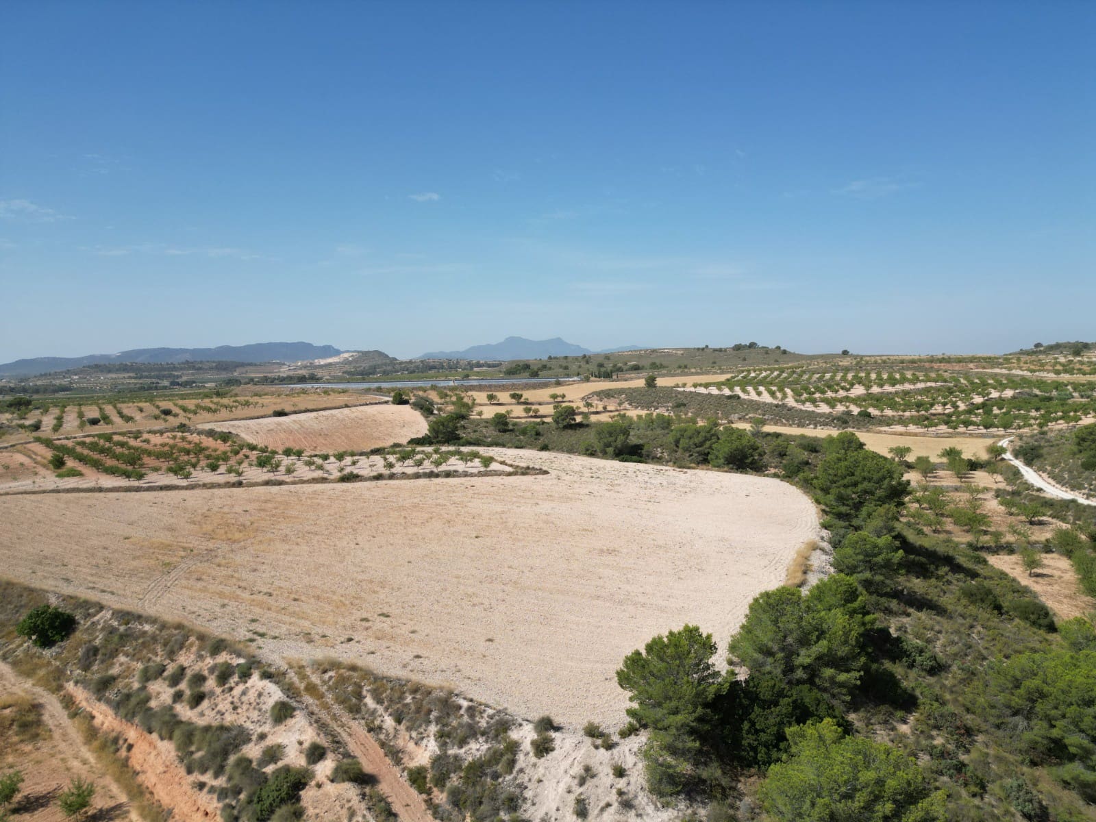 Solar/Parcela en Pinoso en venta - 76.000 € (Ref: 10021432)