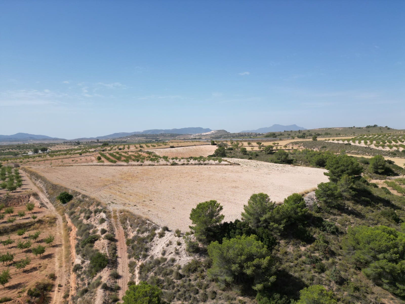 Solar/Parcela en Pinoso en venta - 76.000 € (Ref: 10021432)
