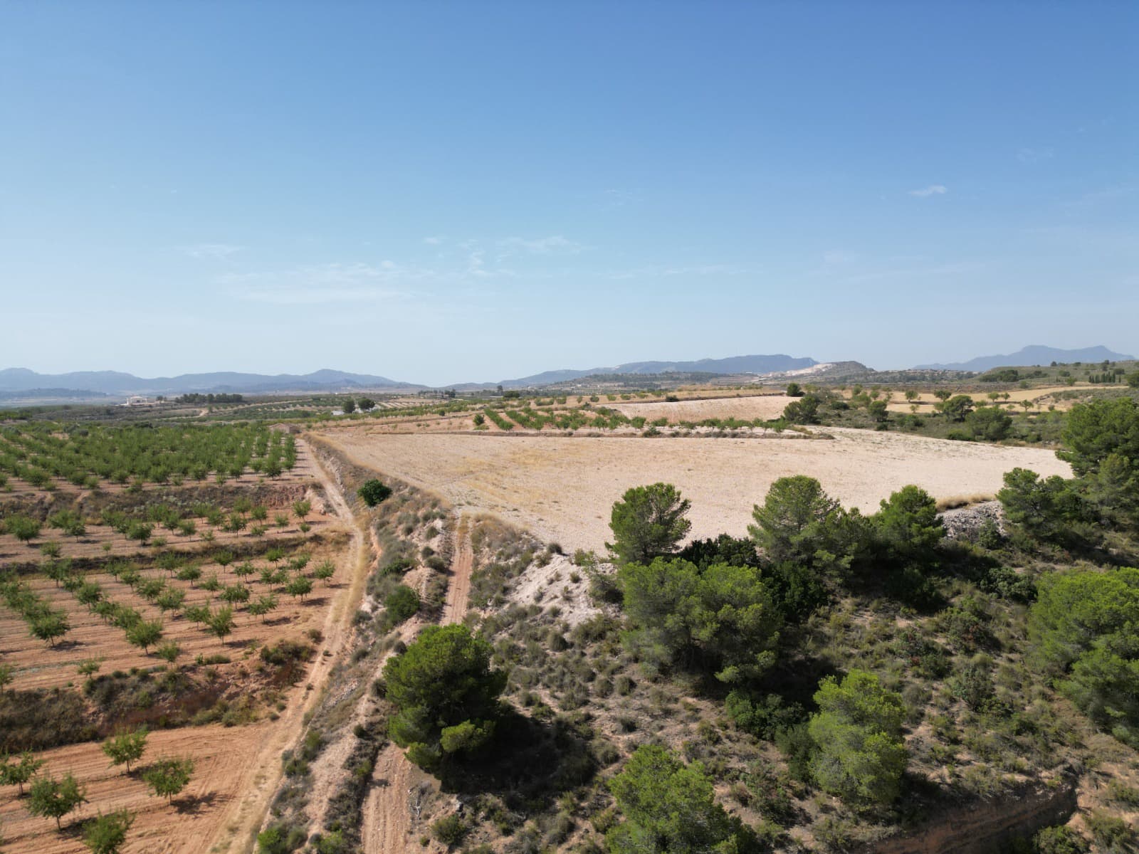 Solar/Parcela en Pinoso en venta - 76.000 € (Ref: 10021432)