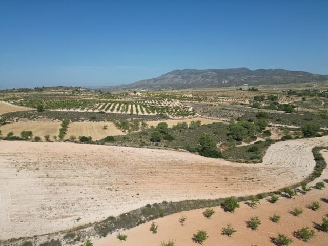 Solar/Parcela en Pinoso en venta - 76.000 € (Ref: 10021432)