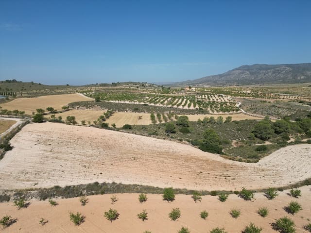 Solar/Parcela en Pinoso en venta - 76.000 € (Ref: 10021432)