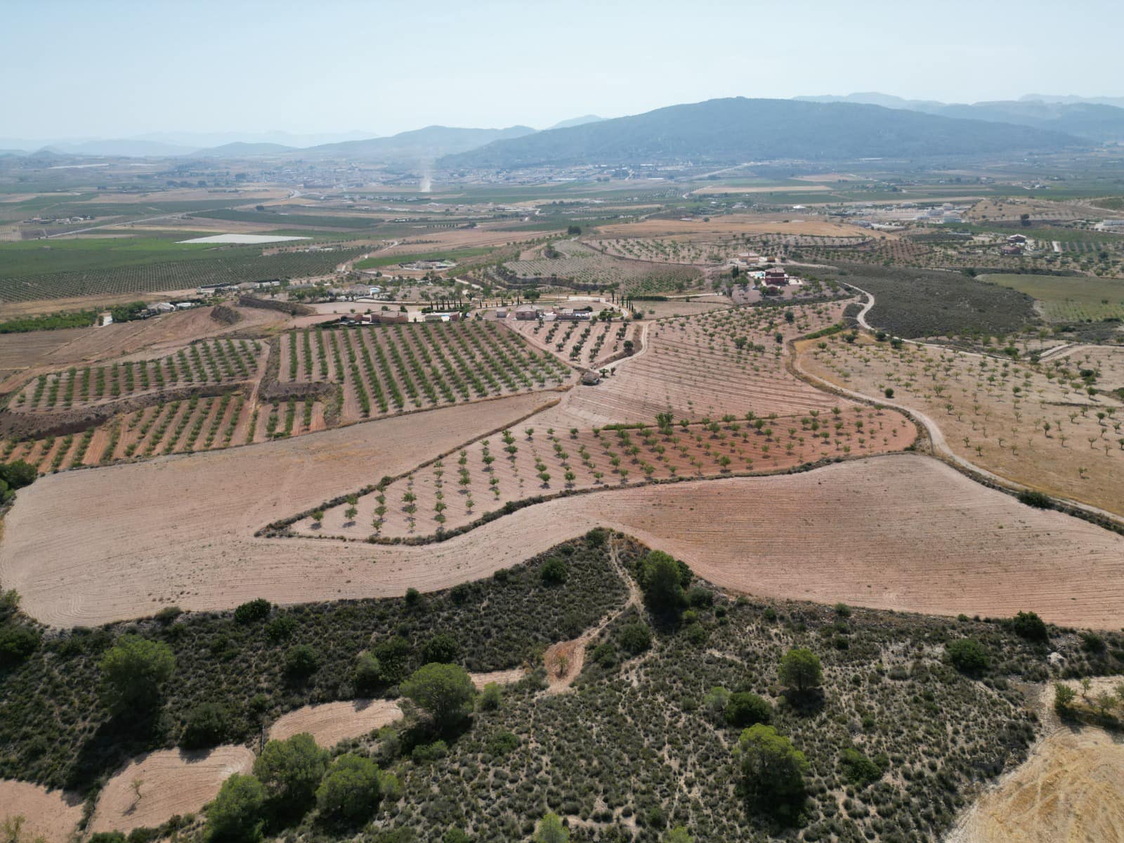 Solar/Parcela en Pinoso en venta - 76.000 € (Ref: 10021432)
