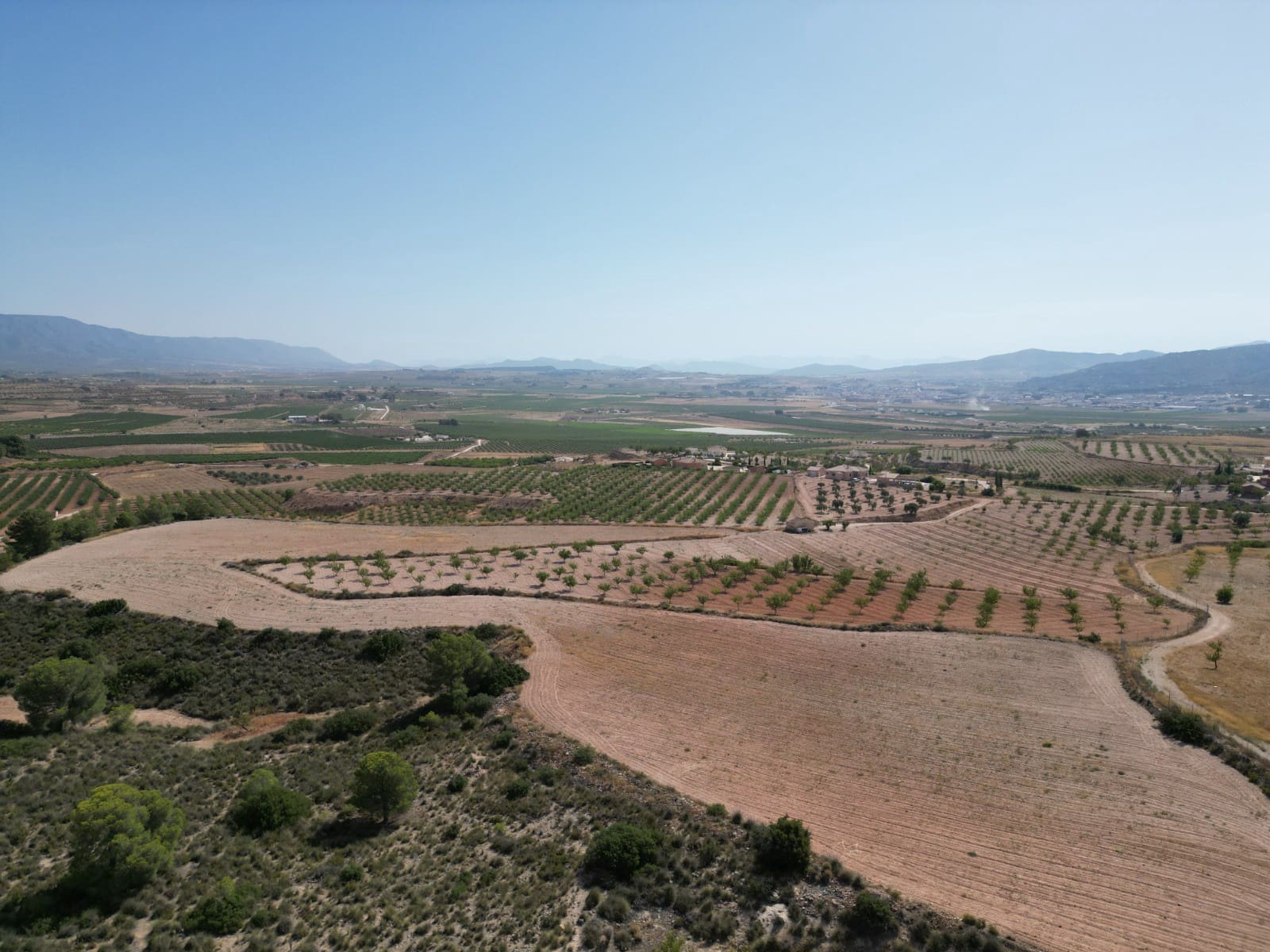 Solar/Parcela en Pinoso en venta - 76.000 € (Ref: 10021432)