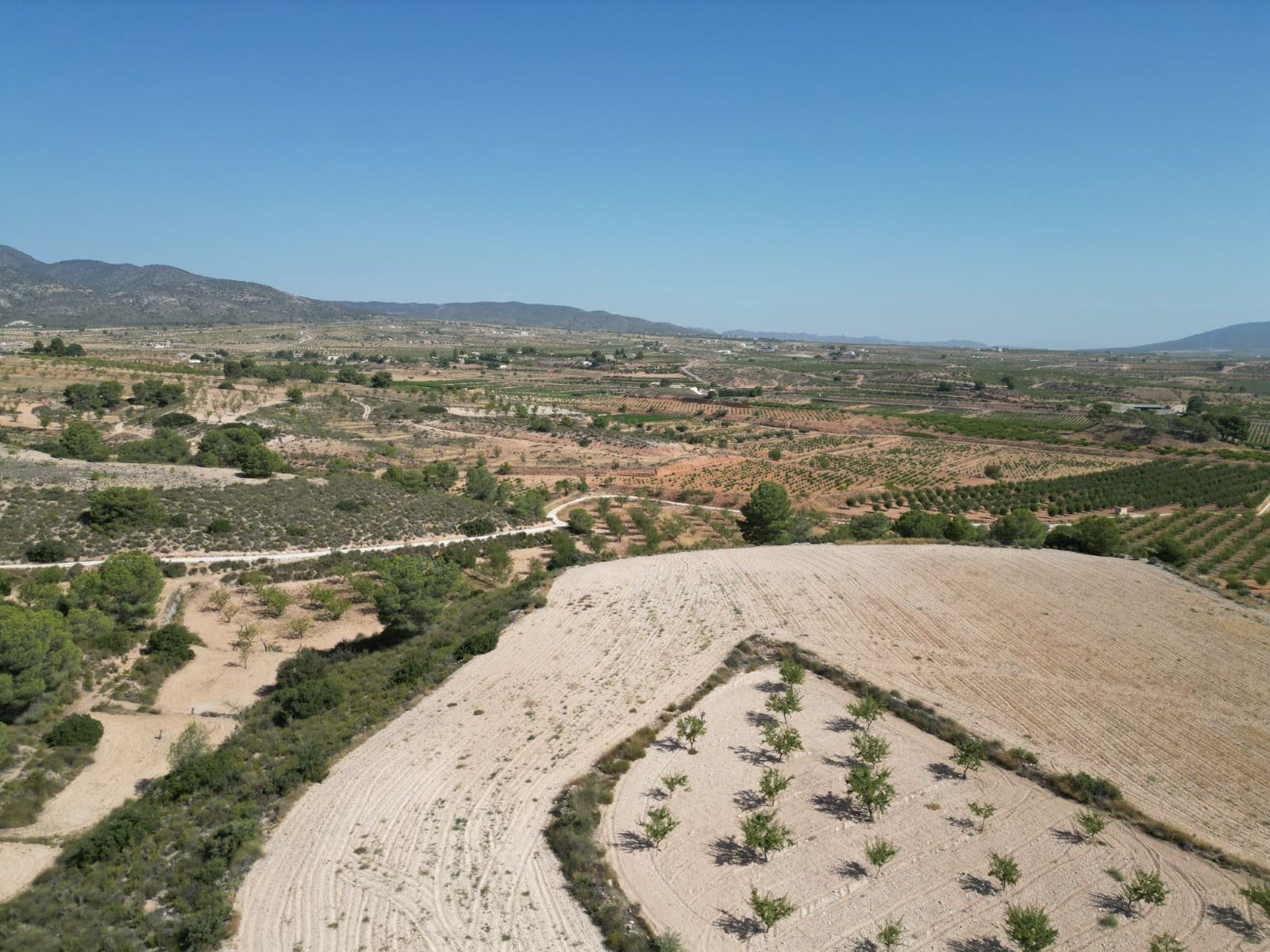 Solar/Parcela en Pinoso en venta - 76.000 € (Ref: 10021432)