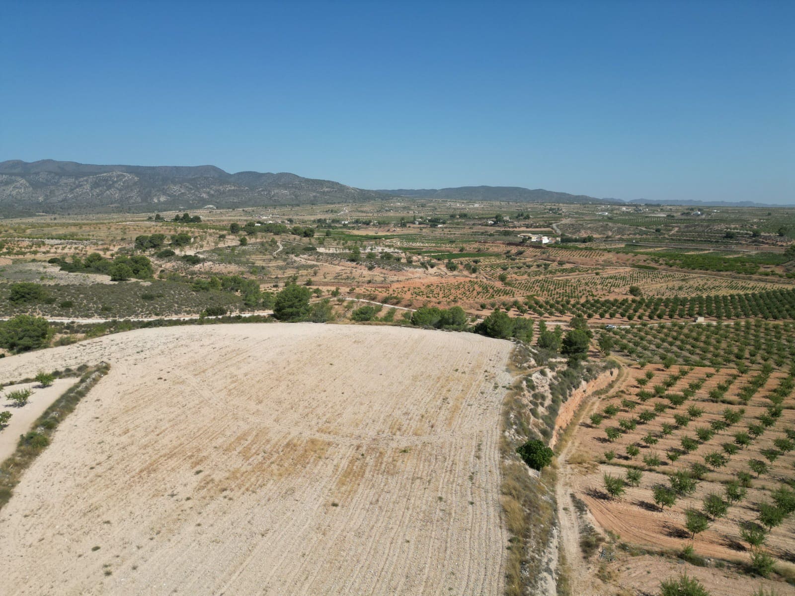 Solar/Parcela en Pinoso en venta - 76.000 € (Ref: 10021432)