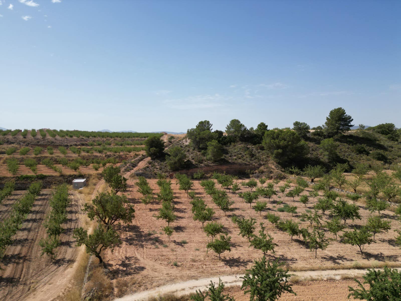 Solar/Parcela en Pinoso en venta - 76.000 € (Ref: 10021432)