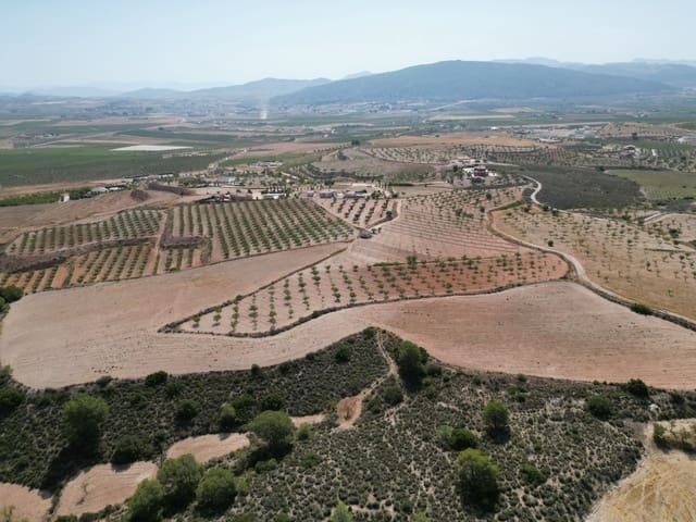 Solar/Parcela en Pinoso en venta - 76.000 € (Ref: 10021432)