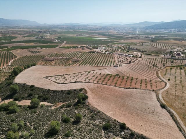 Solar/Parcela en Pinoso en venta - 76.000 € (Ref: 10021432)