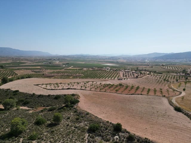 Solar/Parcela en Pinoso en venta - 76.000 € (Ref: 10021432)
