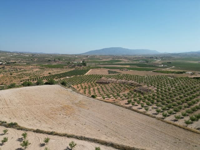 Solar/Parcela en Pinoso en venta - 76.000 € (Ref: 10021432)
