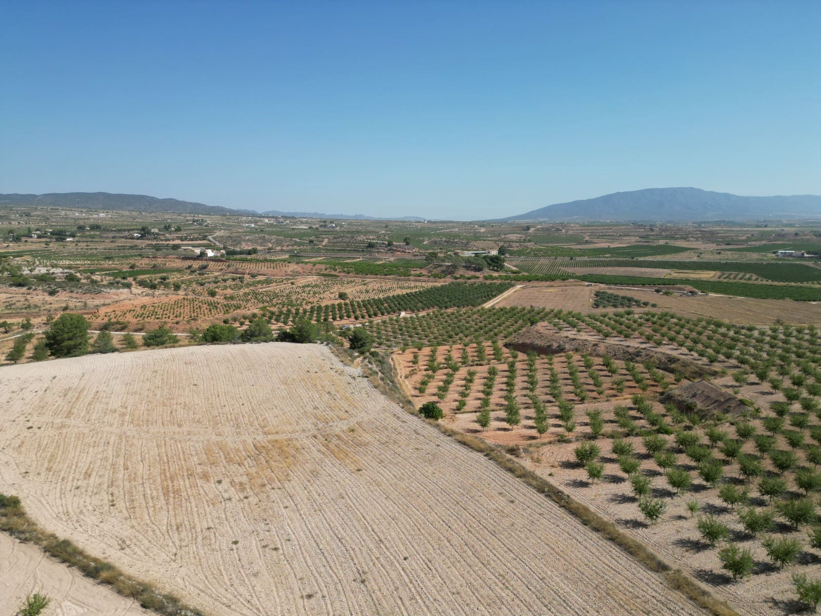 Solar/Parcela en Pinoso en venta - 76.000 € (Ref: 10021432)