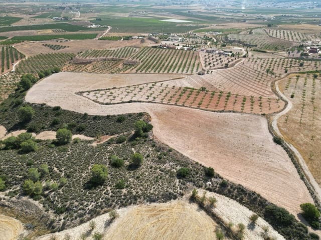 Solar/Parcela en Pinoso en venta - 76.000 € (Ref: 10021432)