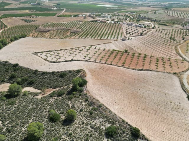 Solar/Parcela en Pinoso en venta - 76.000 € (Ref: 10021432)