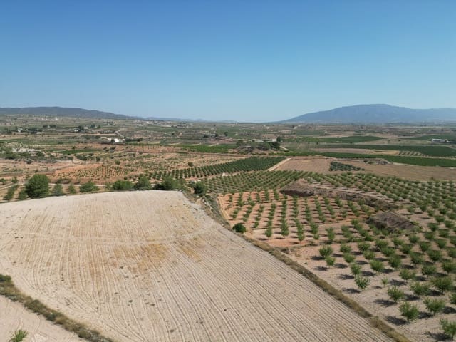 Solar/Parcela en Pinoso en venta - 76.000 € (Ref: 10021432)