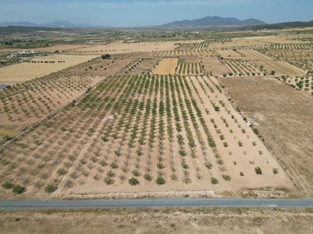 Solar/Parcela en Pinoso en venta - 37.000 € (Ref: 10025903)