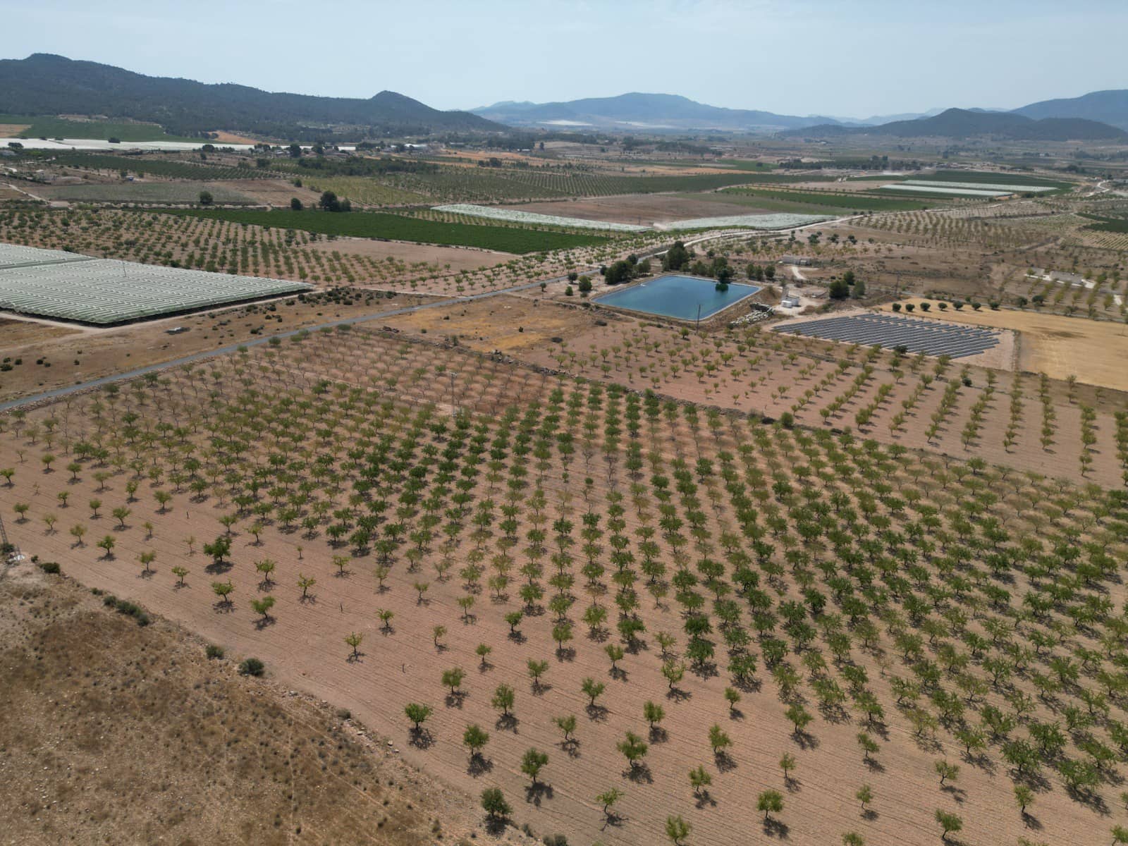 Solar/Parcela en Pinoso en venta - 37.000 € (Ref: 10025903)