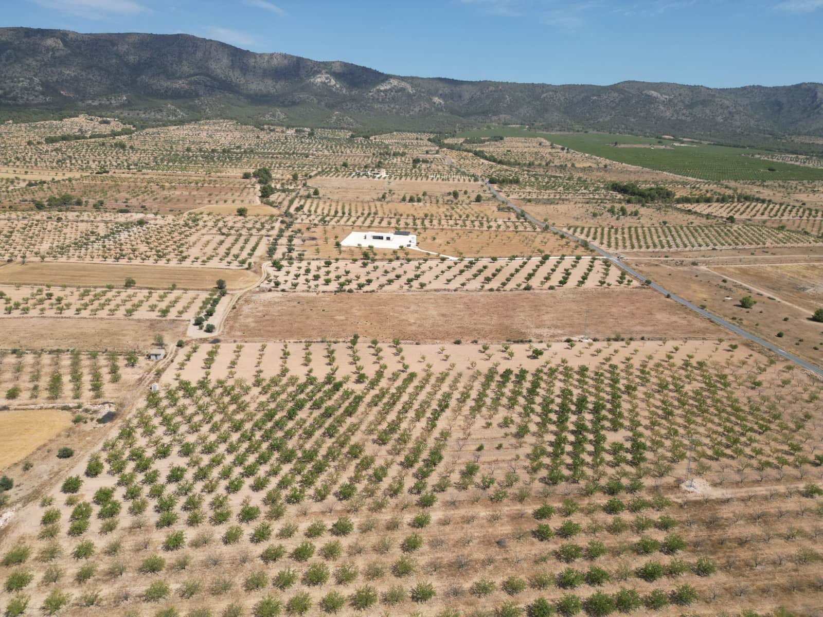 Solar/Parcela en Pinoso en venta - 37.000 € (Ref: 10025903)