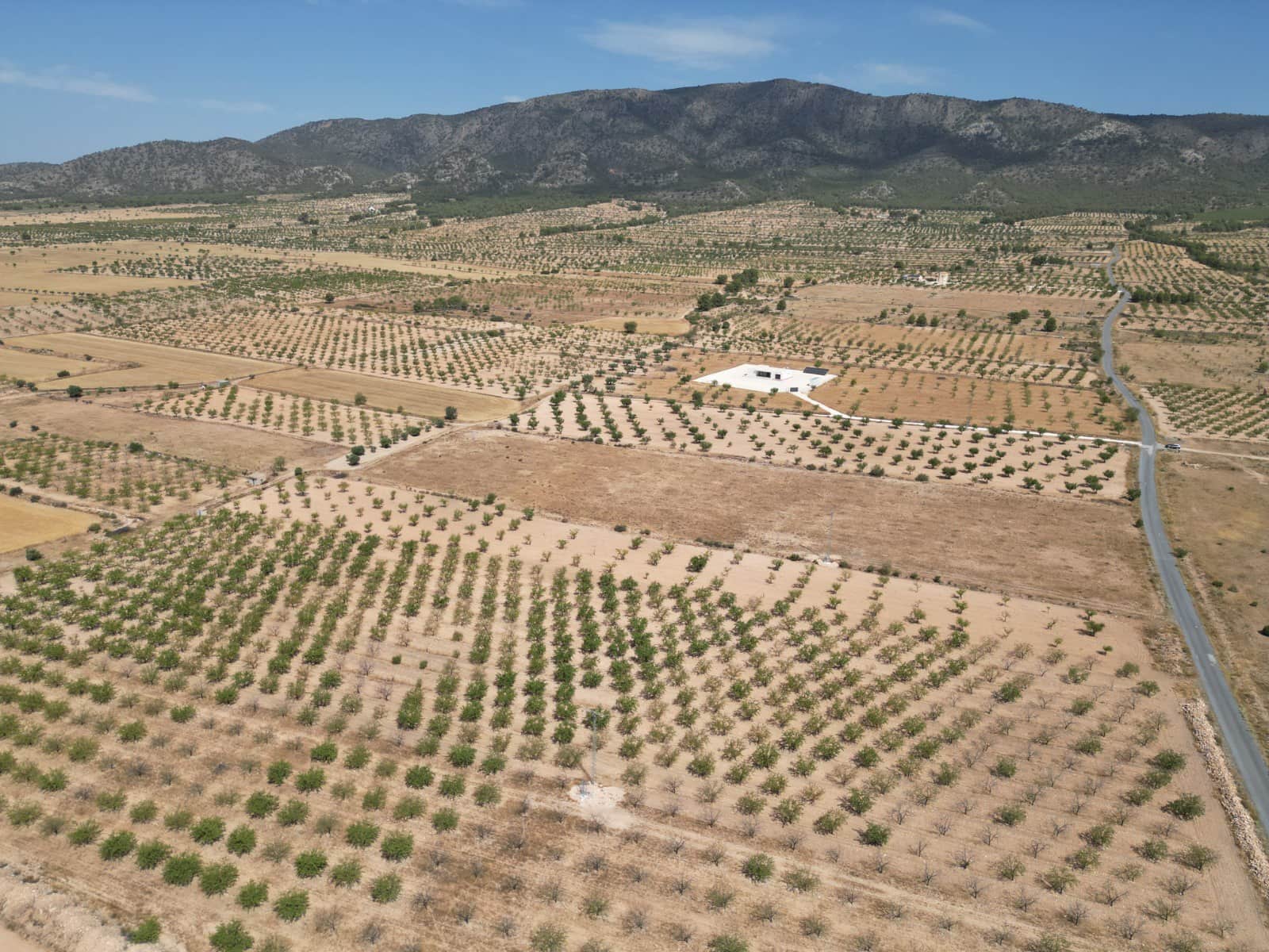 Solar/Parcela en Pinoso en venta - 37.000 € (Ref: 10025903)