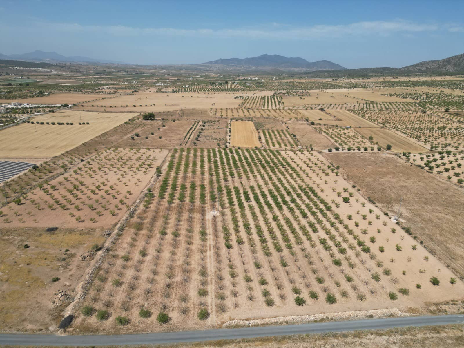 Solar/Parcela en Pinoso en venta - 37.000 € (Ref: 10025903)