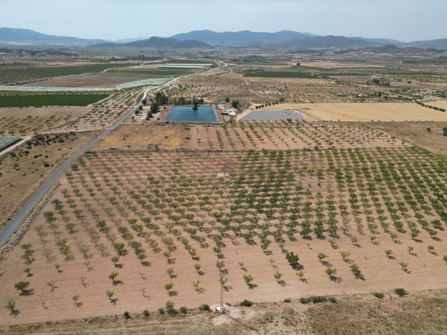 Solar/Parcela en Pinoso en venta - 37.000 € (Ref: 10025903)
