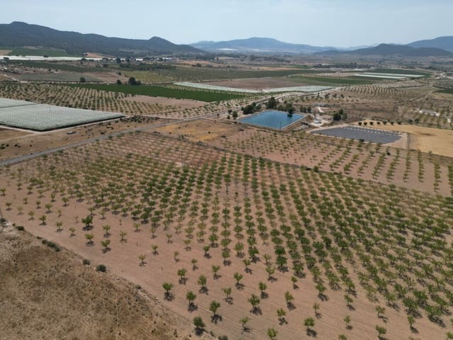 Solar/Parcela en Pinoso en venta - 37.000 € (Ref: 10025903)