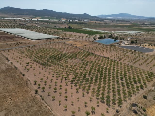 Solar/Parcela en Pinoso en venta - 37.000 € (Ref: 10025903)