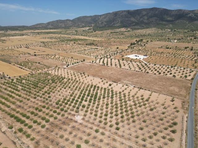 Solar/Parcela en Pinoso en venta - 37.000 € (Ref: 10025903)