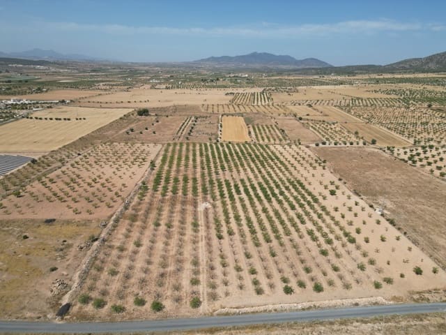 Solar/Parcela en Pinoso en venta - 37.000 € (Ref: 10025903)