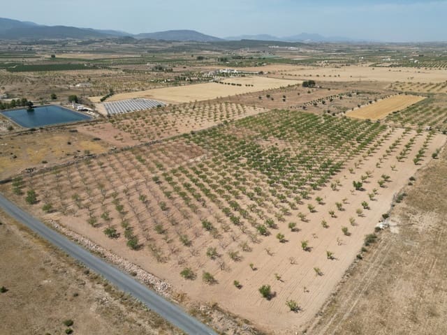 Solar/Parcela en Pinoso en venta - 37.000 € (Ref: 10025903)