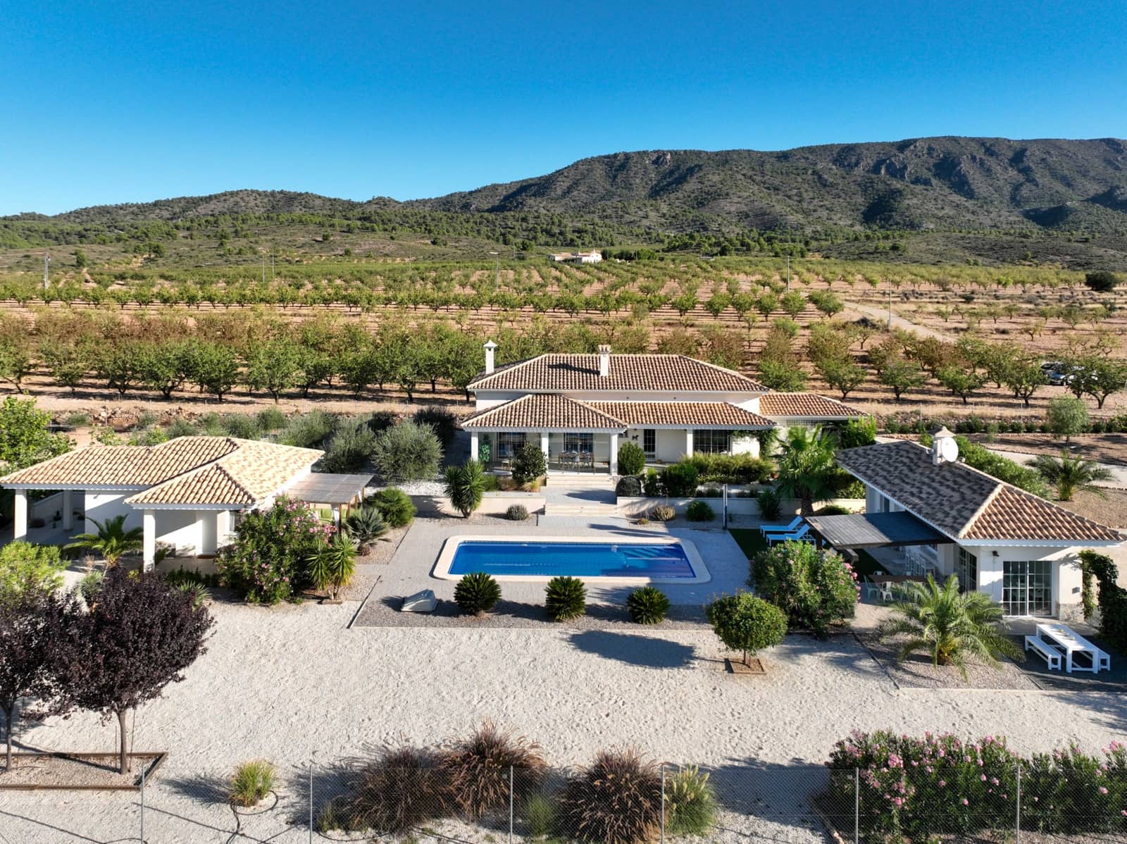 Chalet de 4 habitaciones en Pinoso en venta con piscina garaje - 669.000 € (Ref: 10065692)