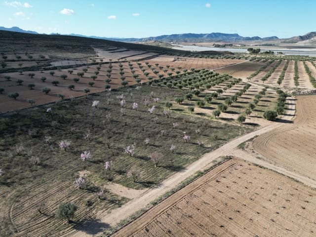 Tomt till salu i La Alqueria, Jumilla - 110 000 € (Ref: 10098335)