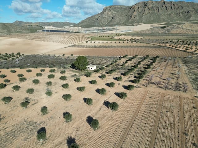 Tomt till salu i La Alqueria, Jumilla - 110 000 € (Ref: 10098335)