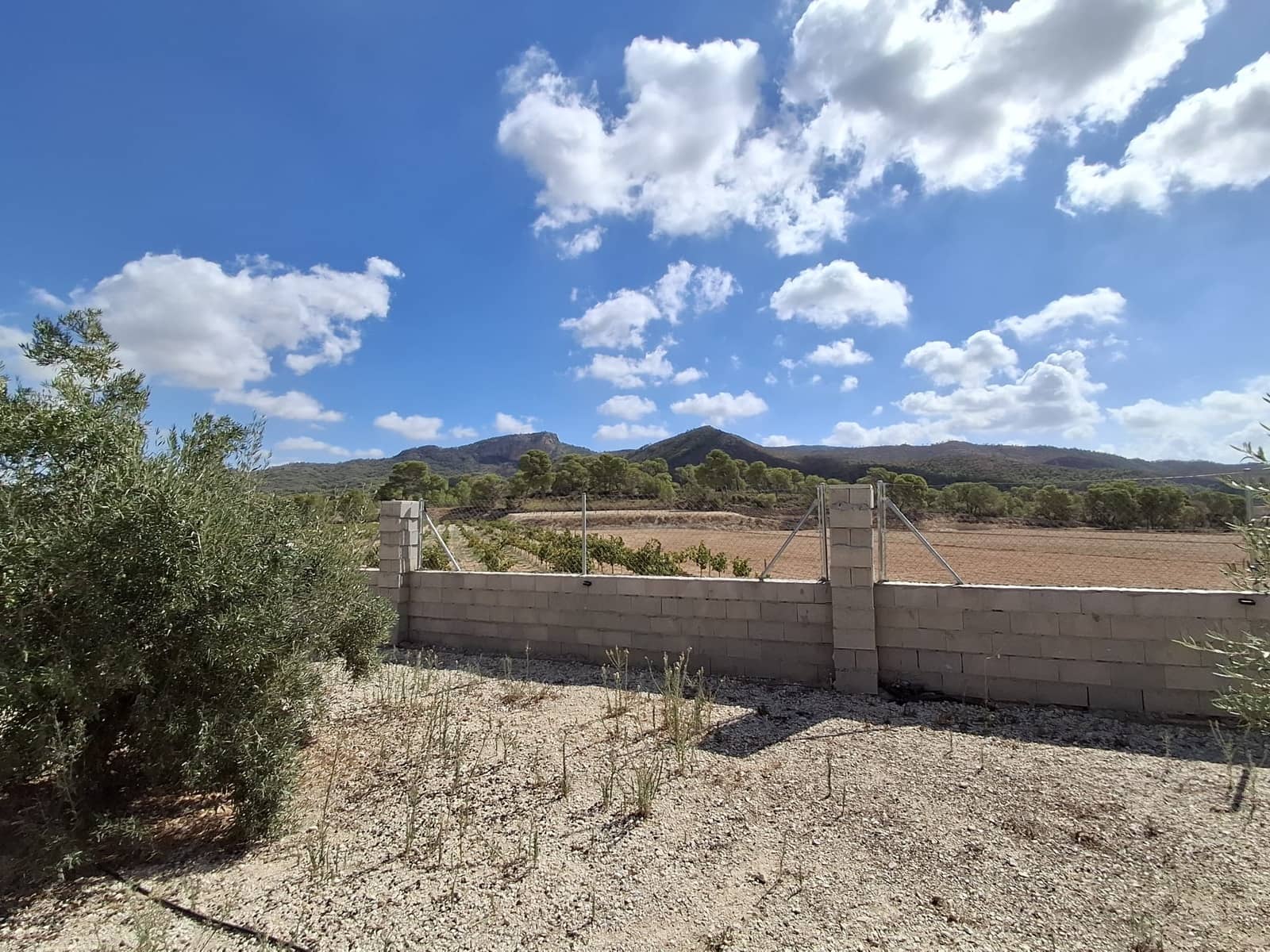 1 slaapkamer Finca/Landhuis te koop in La Romana - € 115.000 (Ref: 10101425)