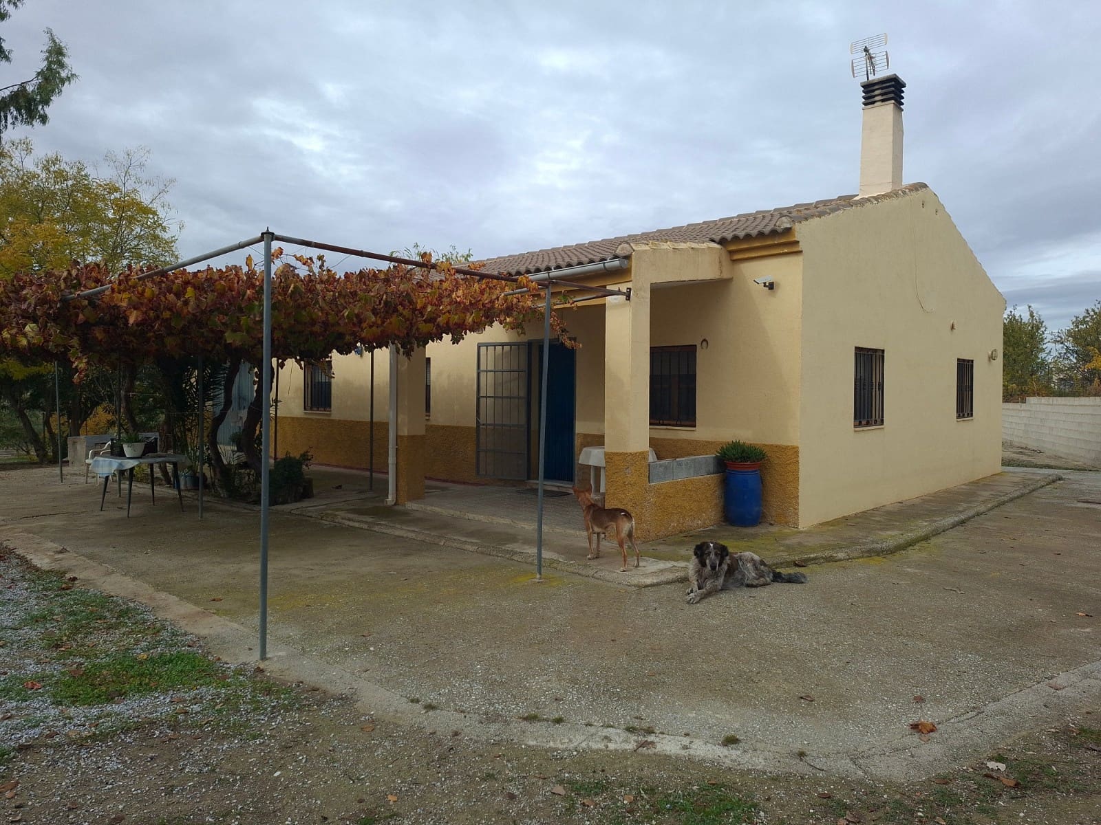 4 sovrum Finca/Hus på landet till salu i Caniles med pool garage - 226 000 € (Ref: 10169084)