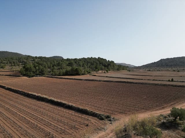 Solar/Parcela en Pinoso en venta - 48.000 € (Ref: 8254791)
