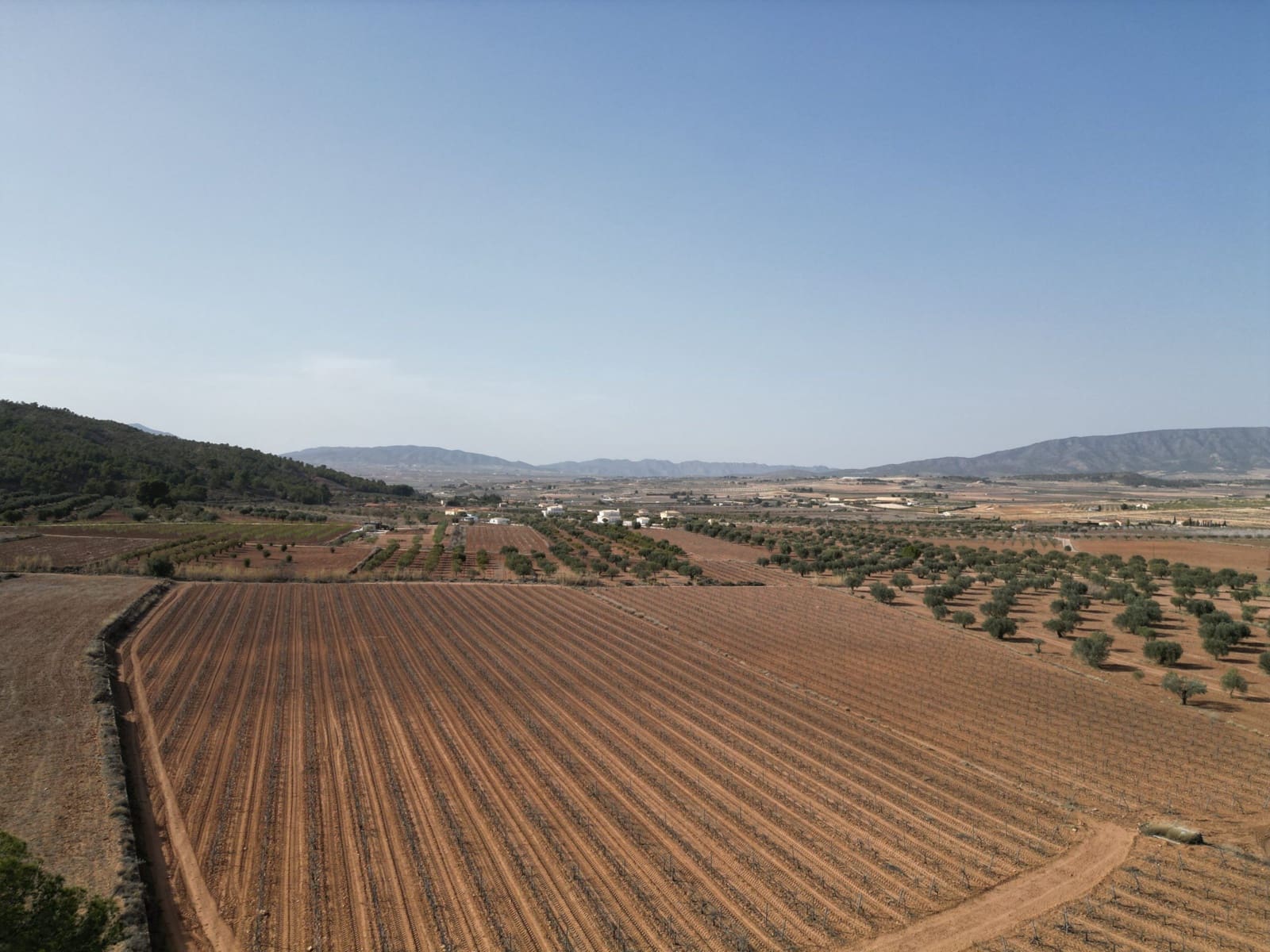 Solar/Parcela en Pinoso en venta - 48.000 € (Ref: 8254791)