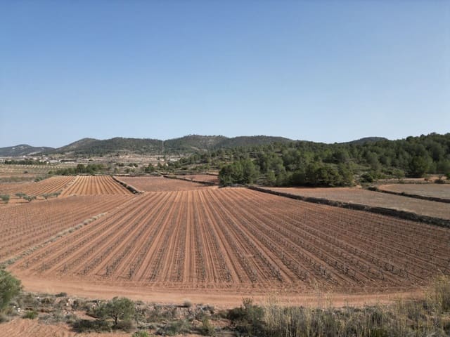 Solar/Parcela en Pinoso en venta - 48.000 € (Ref: 8254791)
