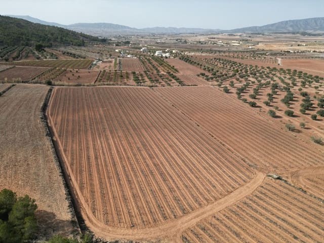 Solar/Parcela en Pinoso en venta - 48.000 € (Ref: 8254791)