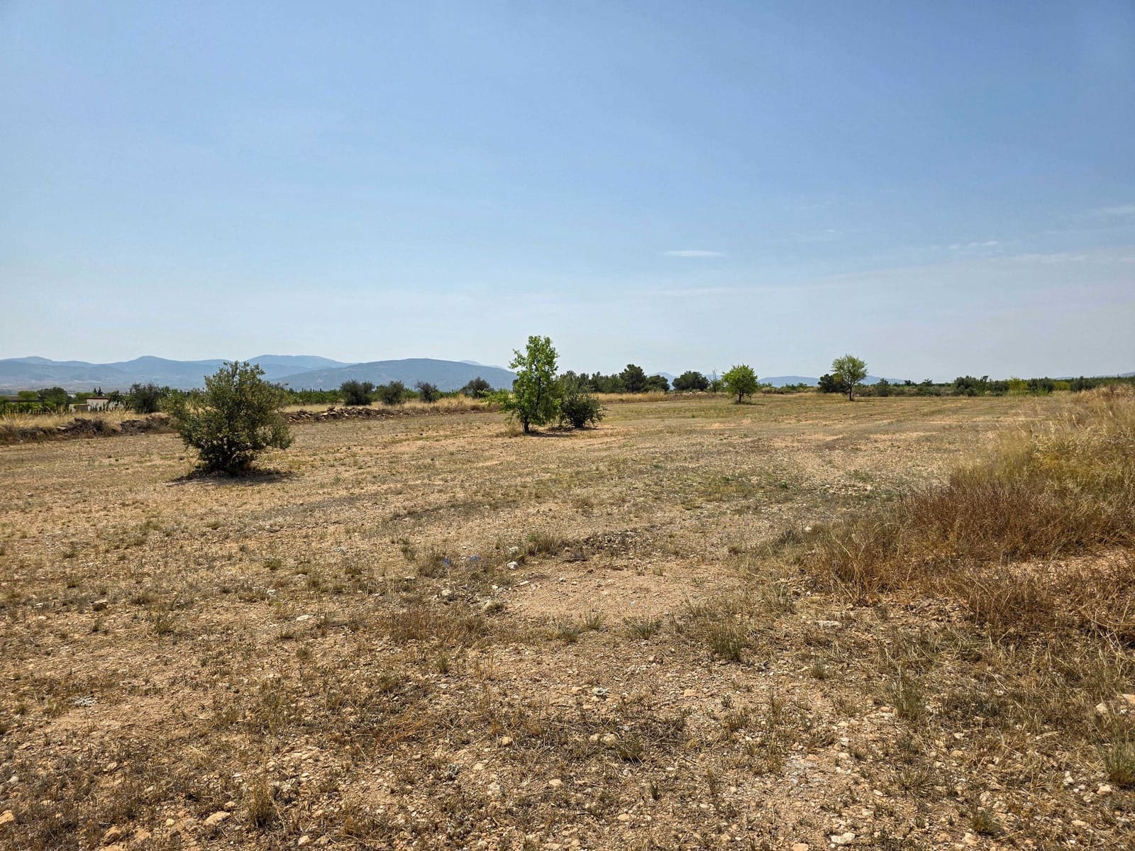 Terreno para Construção para venda em Pinoso - 69 995 € (Ref: 9105405)