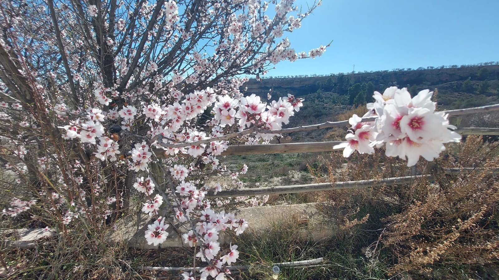 6 soveværelse Finca/Landehus til salg i Velez-Blanco med swimmingpool garage - € 475.000 (Ref: 9105432)