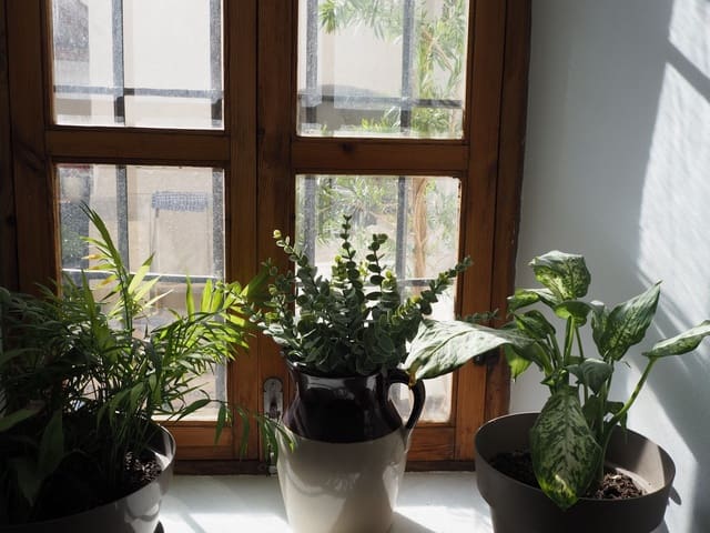 7 soverom Hus til salgs i Huéscar - € 599 000 (Ref: 9105437)