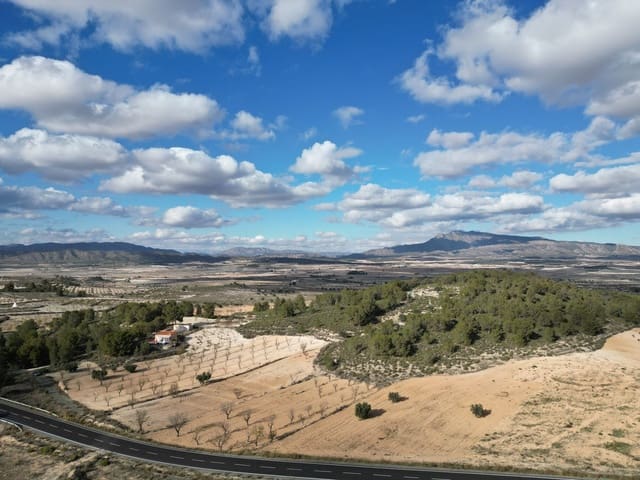 Ubebygd land til salgs i La Zarza, Jumilla - € 49 500 (Ref: 9105477)