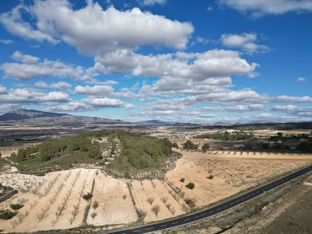 Ubebygd land til salgs i La Zarza, Jumilla - € 49 500 (Ref: 9105477)