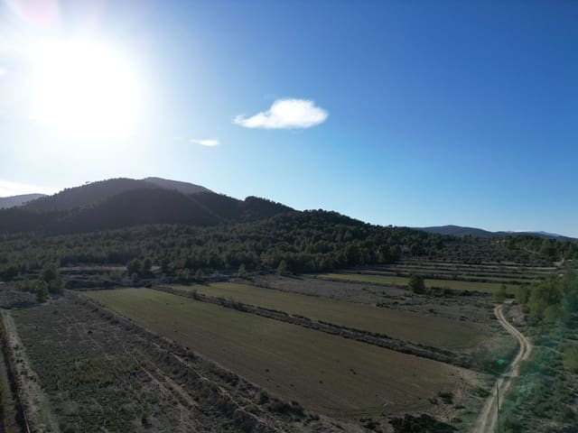 Tomt till salu i Monóvar / Monóver - 54 950 € (Ref: 9106418)